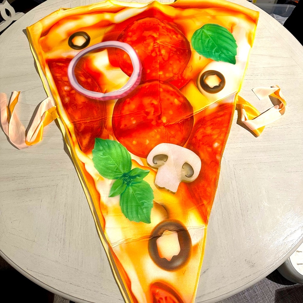 Adult slice of pizza costume